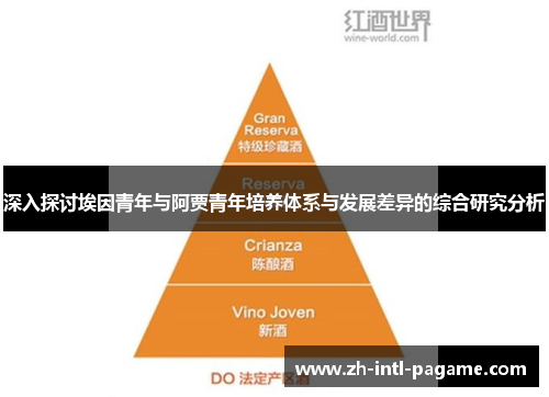 深入探讨埃因青年与阿贾青年培养体系与发展差异的综合研究分析 深入探讨埃因青年与阿贾青年培养体系与发展差异的综合研究分析