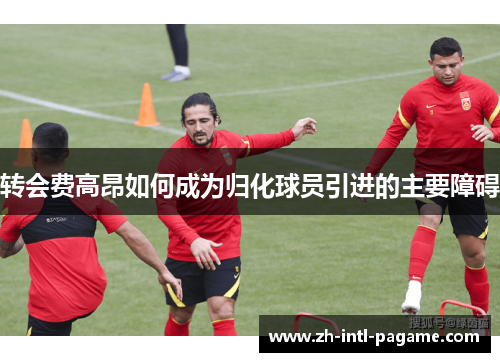 转会费高昂如何成为归化球员引进的主要障碍